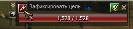Зафиксировать цель